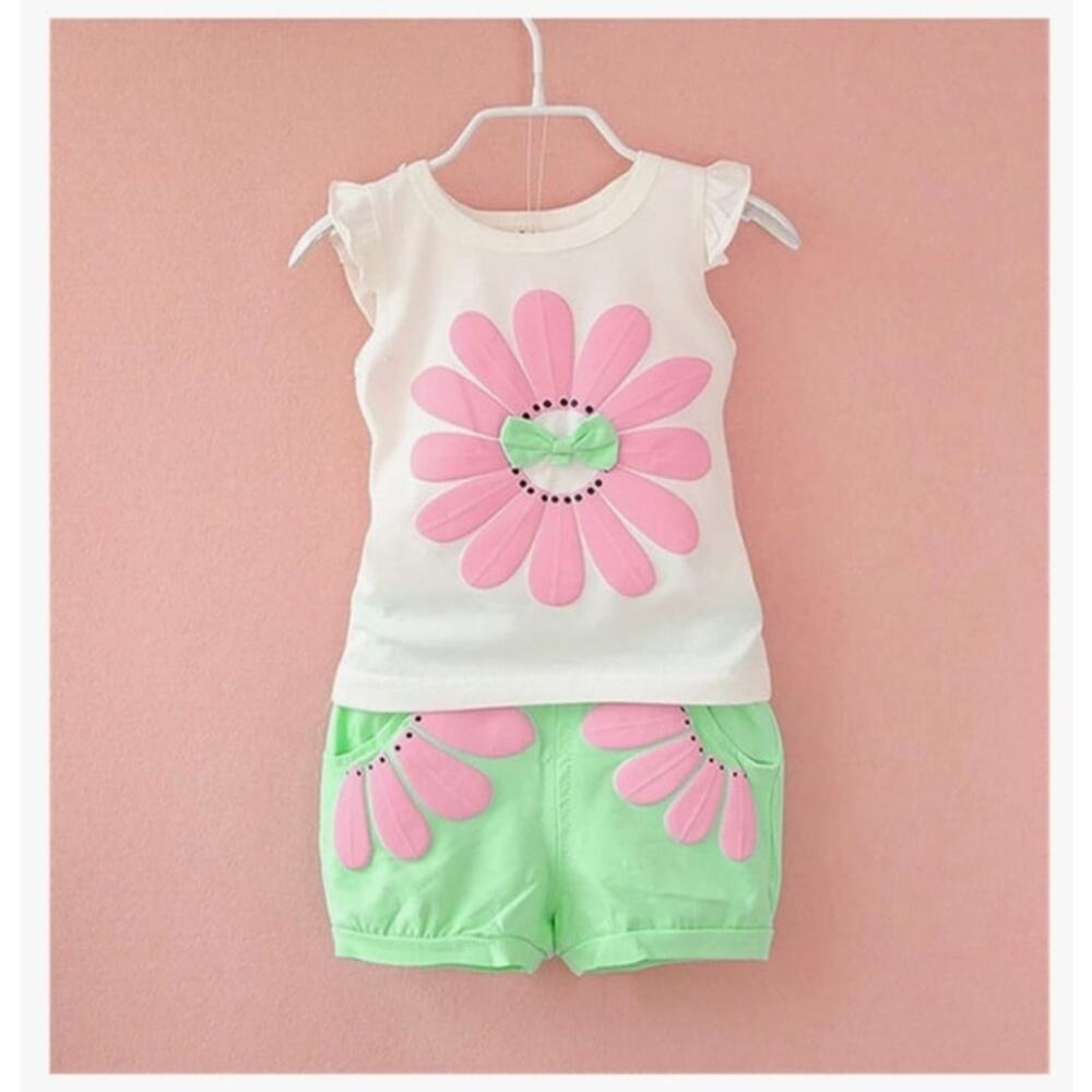 Pink Daisy Toddler Outfit Shorts and Shirt Gently Used 2T
